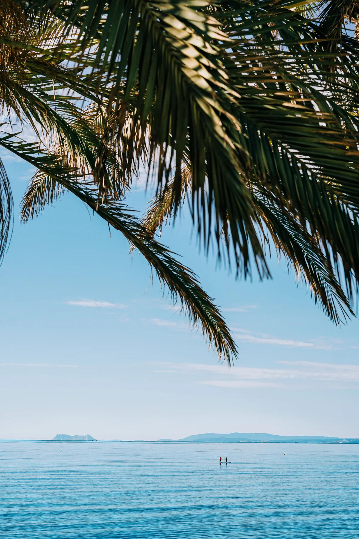 Palm fronds framing the Mediterranean Sea in Marbella, Costa del Sol